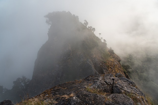 Two-Day Trek at Doi Pha Ngam, trek at doi phan gam, trekking at doi phan gam, 2 days trek at doi phan gam, chiang mai trekking, trekking in chiang mai