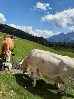Al pascolo