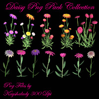 Png tubes and photoshop layers, Daisy Png Tubes, digital scrapbooking elements