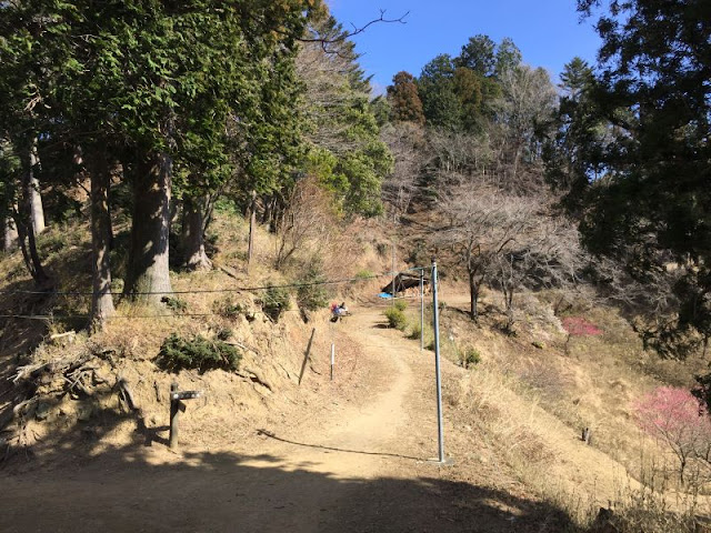 子ノ権現の登山道風景