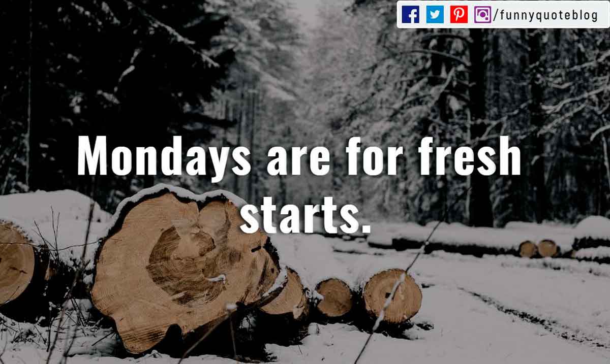 quotes for monday funny “Mondays are for fresh starts.”