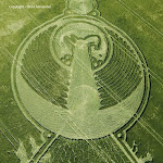 gambar crop circle, foto crop circle, alien, ufo, lingkaran tanaman, www.digaleri.com