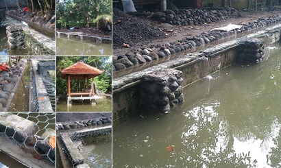 View album