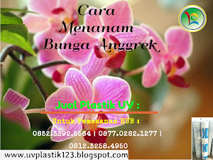 Manfaat Plastik Uv - Cara Menanam Bunga Anggrek