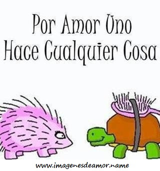 Imagenes chidas con frases de amor