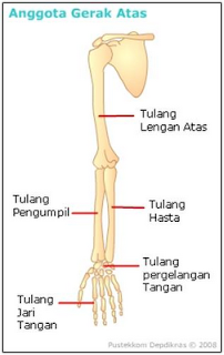 rangka tangan