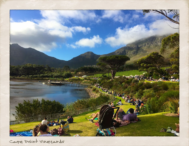 Cape Point Vineyards