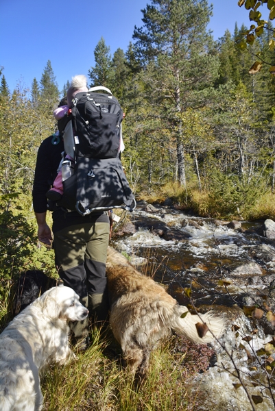 kollsjøen urdevasselva