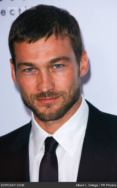 andy whitfield