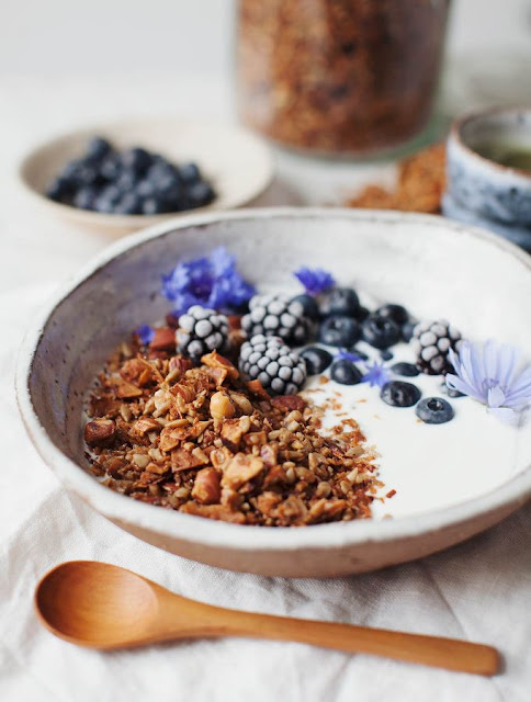 Grain Free Granola is Kosher for Passover | Land of Honey