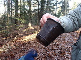 Grzyby jesienne, grzyby zimowe, grzyby w grudniu, grzybobranie w grudniu, grzyby w okolicach Krakowa, Pieprznik trąbkowy Craterellus tubaeformis,  Uszak bzowy Auricularia auricula-judae, galaretnica mięsista - Ascocoryne sarcoides, Trzęsak pomarańczowy Tremella mesenterica, Grzybówka dzwoneczkowata Mycena tintinnabulum, Gąska sp. Tricholoma sp.