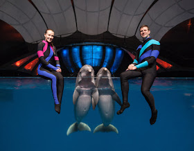 AT&T Dolphin Celebration | Georgia Aquarium