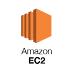 Getting Started with Amazon EC2: Your Guide to Cloud-Based Virtual Servers