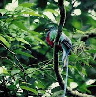 reserva natural biosfera, el triunfo chiapas, méxico, ANP