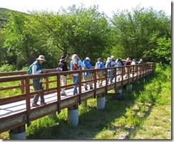 Dry Creek Crossing, Muir Beach