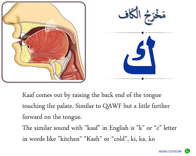 The Articulation Point of Kaaf ك