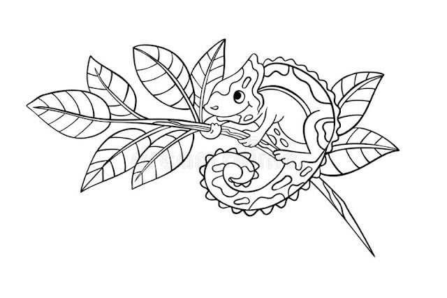 Best chameleon coloring pages