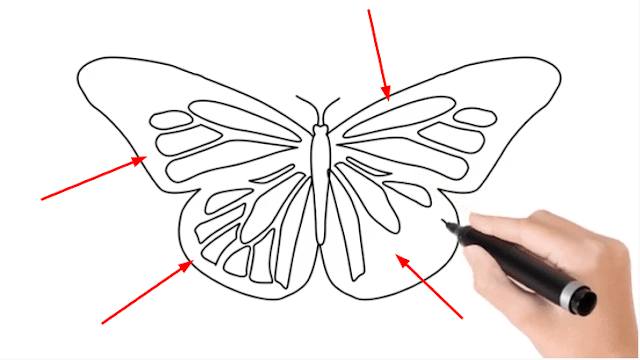 Easy Butterfly Drawings Step