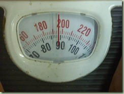 P1030063