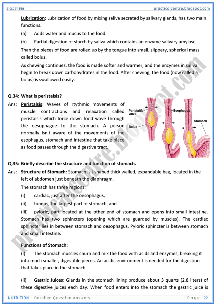 nutrition-detailed-question-answers-biology-9th-notes