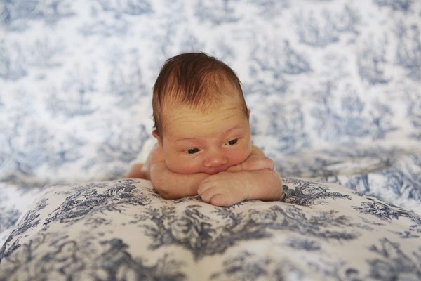20141104 Alice is one week (24) edit