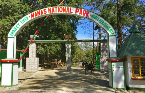 Manas National Park to reopen for tourists on October 1