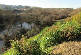 Photographing the Salinas River: A Review