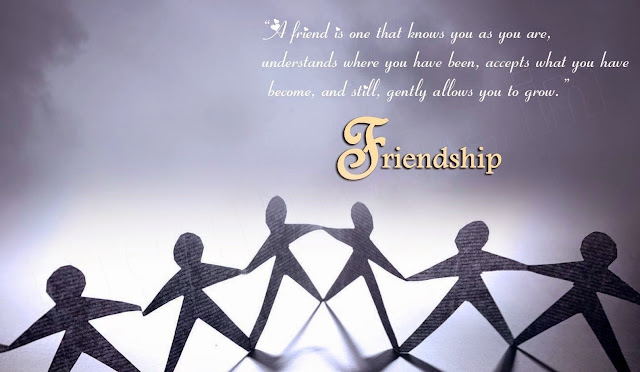 Friendship Day Quotes 