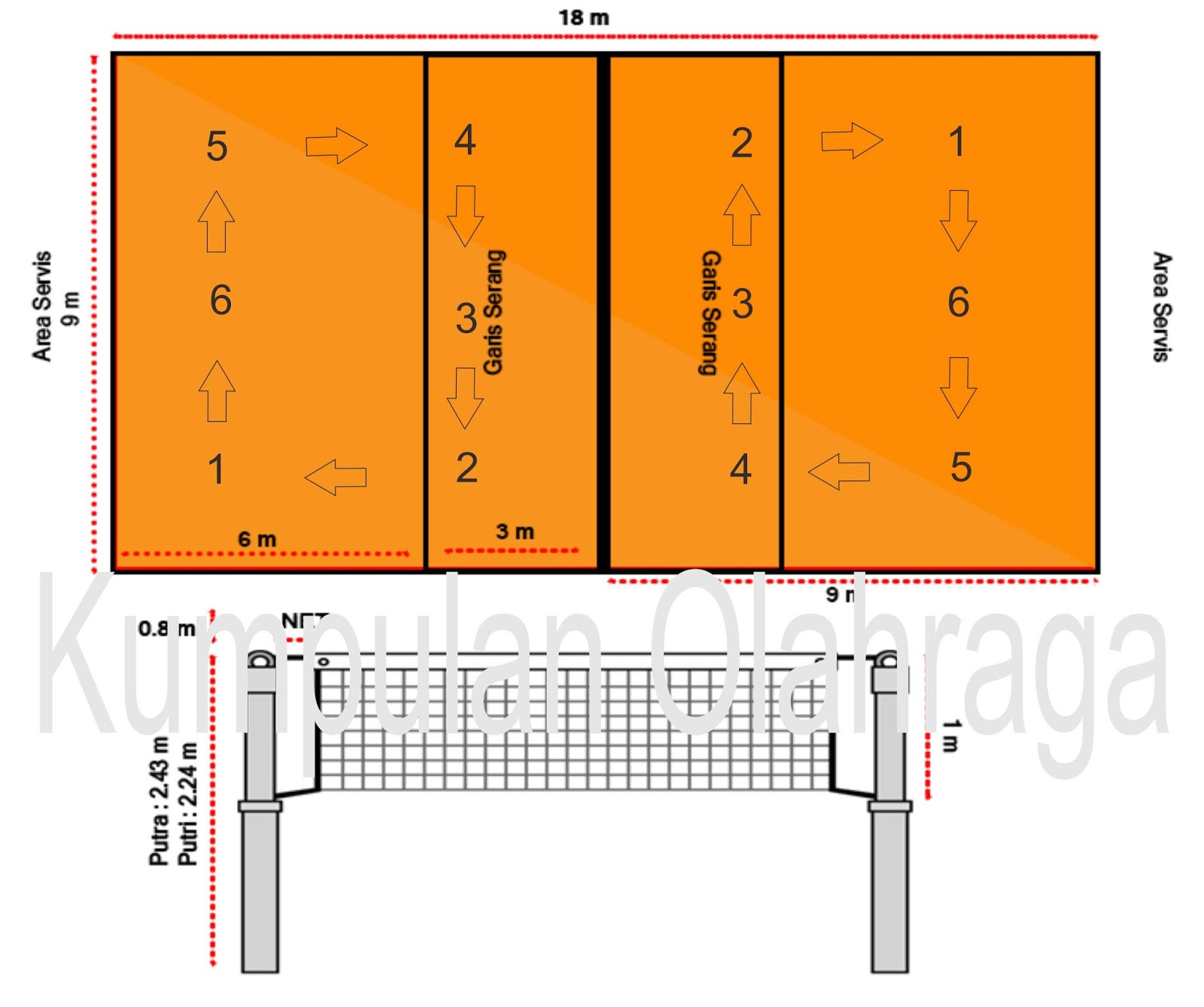 Posisi Pemain Bola Voli Kumpulan Olahraga
