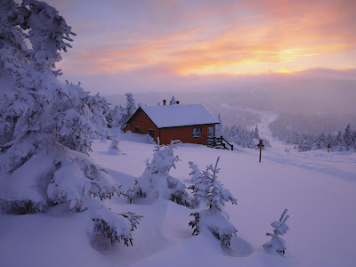 Winter Backgrounds