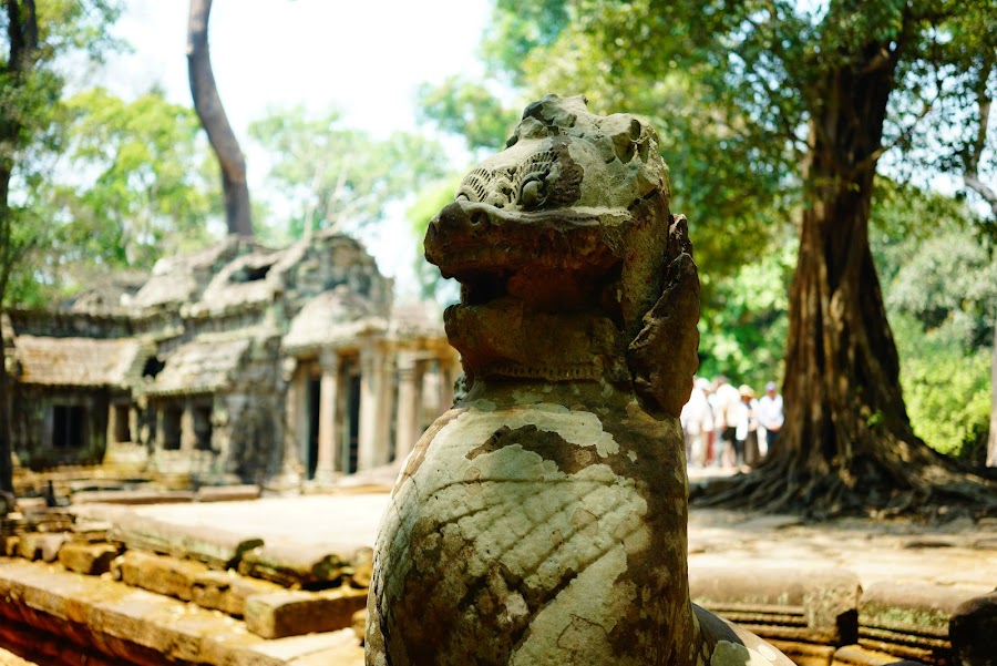 Ta Phrom temple, ancient Angkor