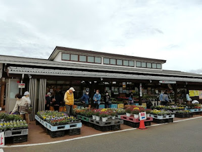 朝ドレファーミ 成田店