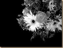 black and white flower