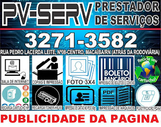 PV-SERV (PRESTADOR DE SERVIÇOS)