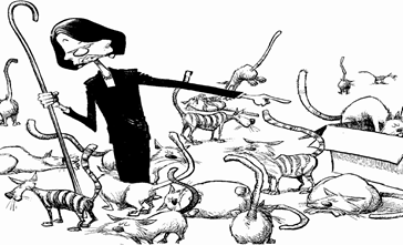 Herding Cats Video