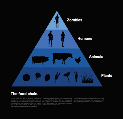 food chain diagram. A food chain is a model that