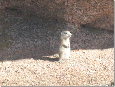 Vedauwoo 2012-06-17 (1)