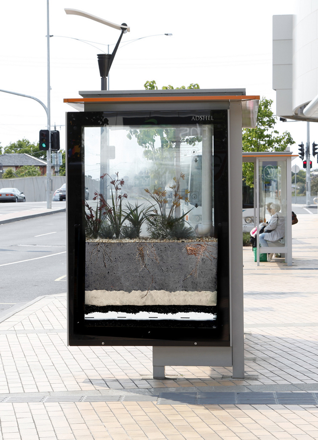 Ponto de TRAM com jardim dentro de vidro