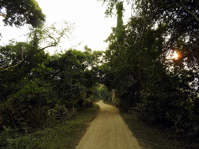 UNESCO World Heritage Site, rhinoceros