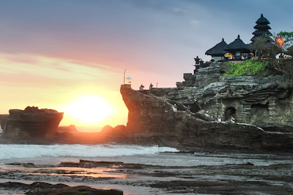 Viral Bule di Pantai Bali, Wisatawan Jangan Lakukan Hal Tak Senonoh!