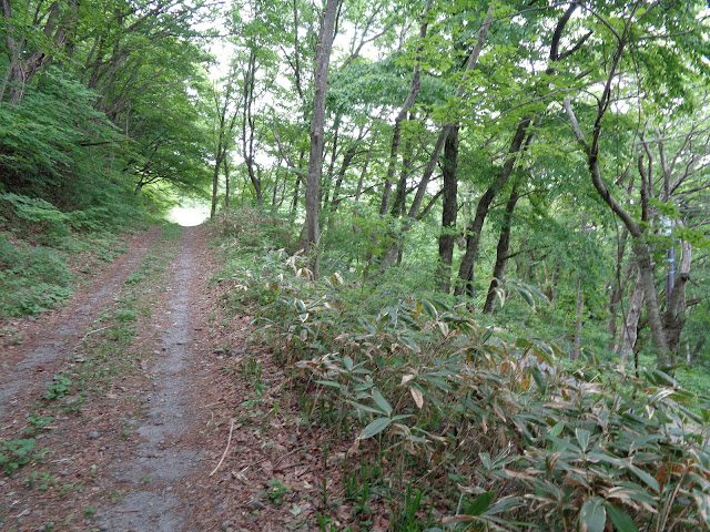 横手道を一の沢方面へ向かいます