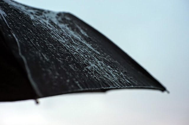 Click to see picture of an umbrella in the rain