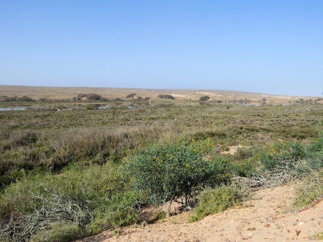 Souss Massa National Park, Morocco