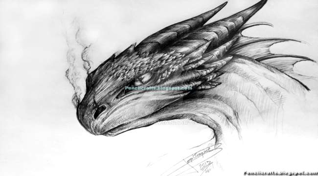 Chinese Dragon Pencil Drawing