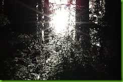 clip_image054