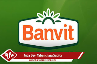 Banvit