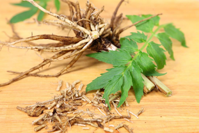 Valerian Root: The Natural Solution for Better Sleep and Reduced Anxiety
