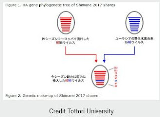 http://afludiary.blogspot.com/2017/11/tottori-university-shimane-hpai-h5n6.html