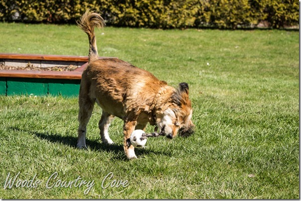 APRIL 2016 (10 of 43)