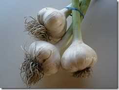 Carrots, garlic, etc 008